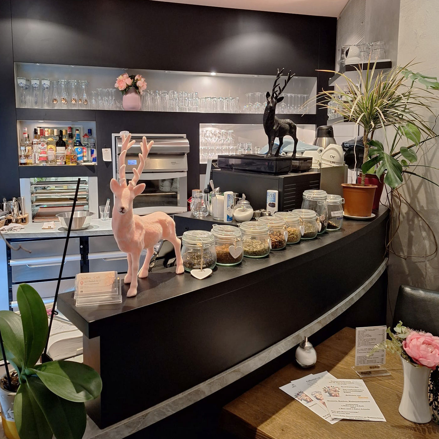 NACA_BILD_Innenraum-Theke